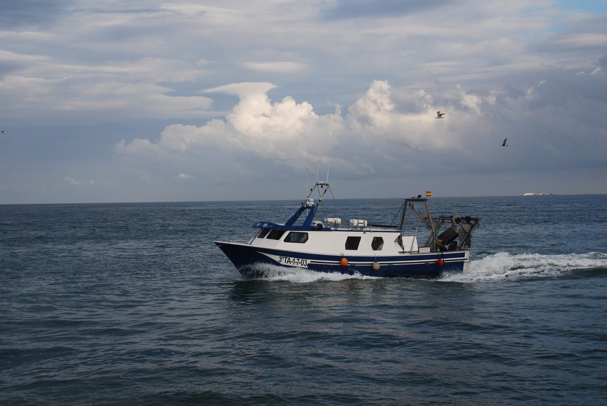 Imagen de Capitol 9 - 2007